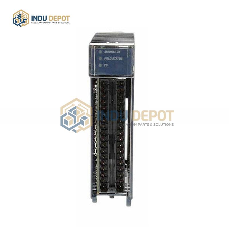 Analog Input IC695ALG616 GE Fanuc - Image 2